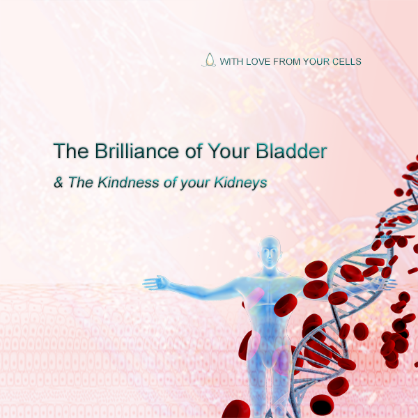 With Love from Your Cells (Bladder) - 1:1 Workshop (Confirmed)